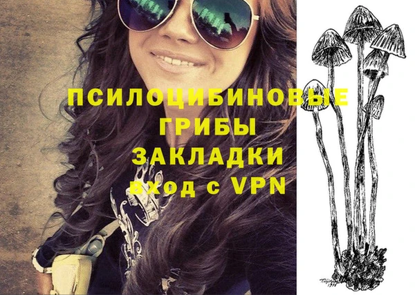 прущие грибы Абдулино