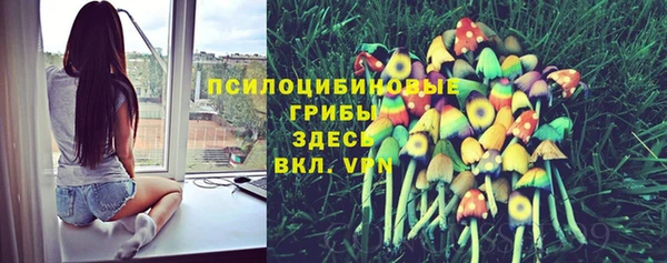 кристаллы Медногорск