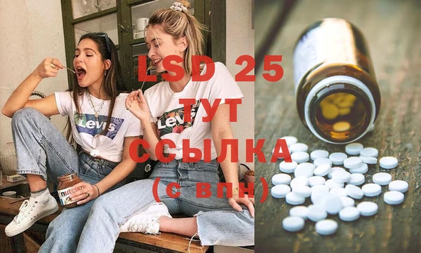 стафф Долгопрудный