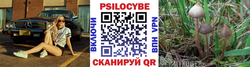купить наркоту  Туран  Галлюциногенные грибы Psilocybine cubensis 